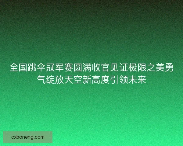 全国跳伞冠军赛圆满收官见证极限之美勇气绽放天空新高度引领未来