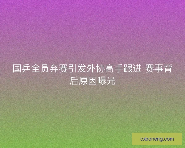 国乒全员弃赛引发外协高手跟进 赛事背后原因曝光